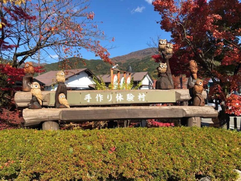 Mt.Fuji, Oshino Hakkai, Gotemba Outlet 1 Day Tour from Tokyo - Good To Know  