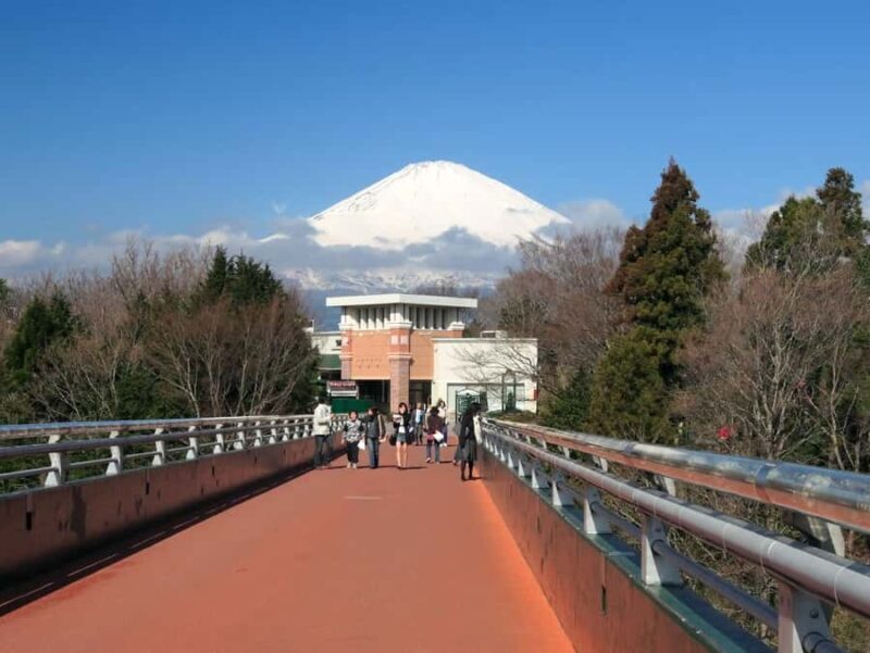 Mt.Fuji, Oshino Hakkai, Gotemba Outlet 1 Day Tour from Tokyo - Introduction to the Tour Experience