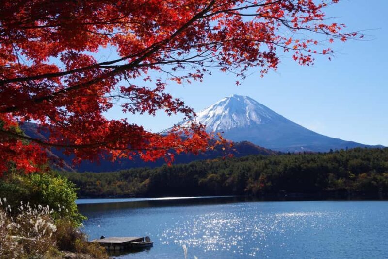 Mt.Fuji, Oshino Hakkai, Gotemba Outlet 1 Day Tour from Tokyo - Transport, Group Size, and Practicalities