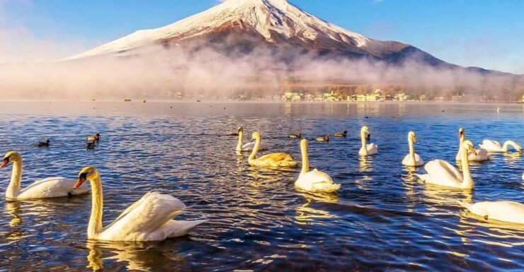 Mt.Fuji: Oshino Hakkai, Hakone, Owakudani Cable Car Day Trip - Itinerary and Key Stops