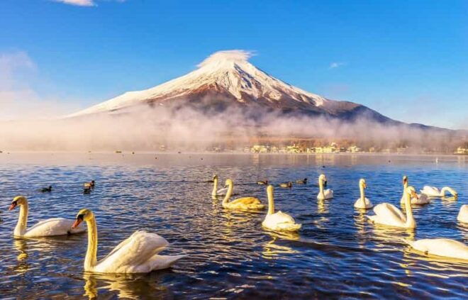 Mt.Fuji: Oshino Hakkai, Hakone, Owakudani Cable Car Day Trip - Highlights of the Trip