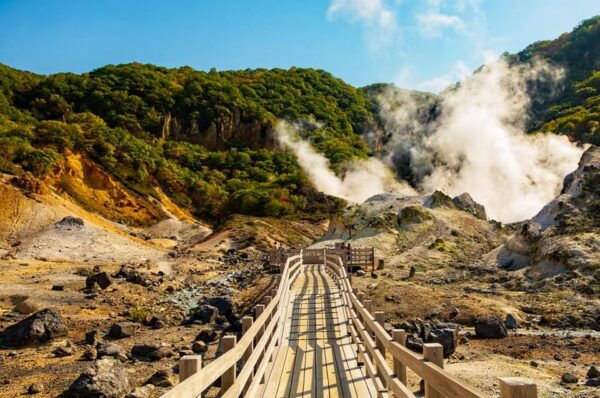 Mt.Fuji: Oshino Hakkai, Hakone, Owakudani Cable Car Day Trip - Meeting Points and Schedule