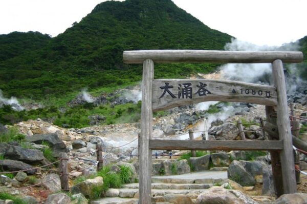 Mt.Fuji: Oshino Hakkai, Hakone, Owakudani Cable Car Day Trip - Important Travel Tips