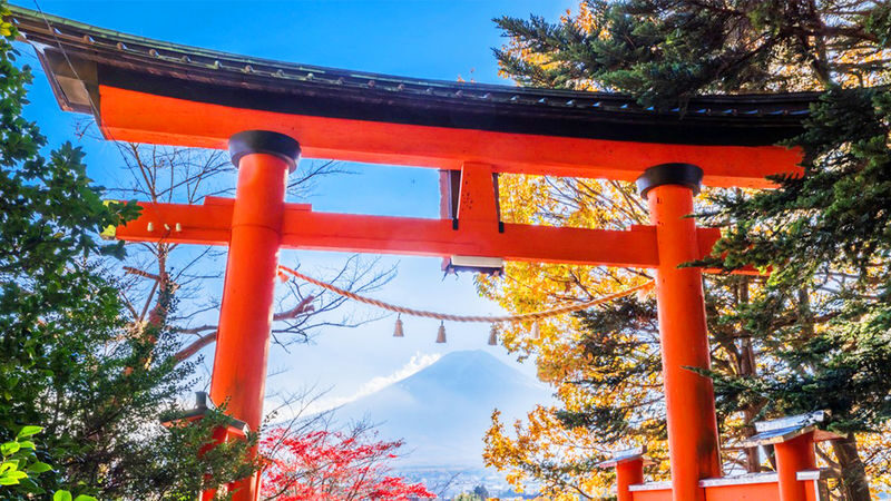 Mt. Fuji, Oshino Hakkai & Onsen Full-Day Tour - Oshino Hakkai: clear water and a change of pace