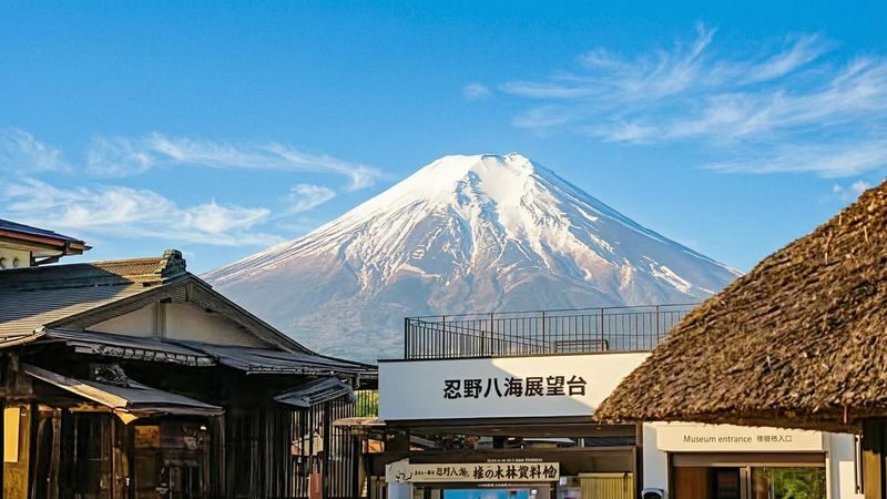 Mt. Fuji Panoramic Day Tour (Departing from Tokyo) - Up to Tenjo-Yama Park by ropeway