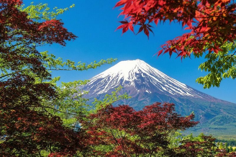 Mt. Fuji Panoramic Day Tour (Departing from Tokyo) - Arakurayama Sengen Park and the pagoda view