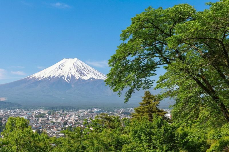 Mt. Fuji Panoramic Day Tour (Departing from Tokyo) - What the price covers, and what it does not