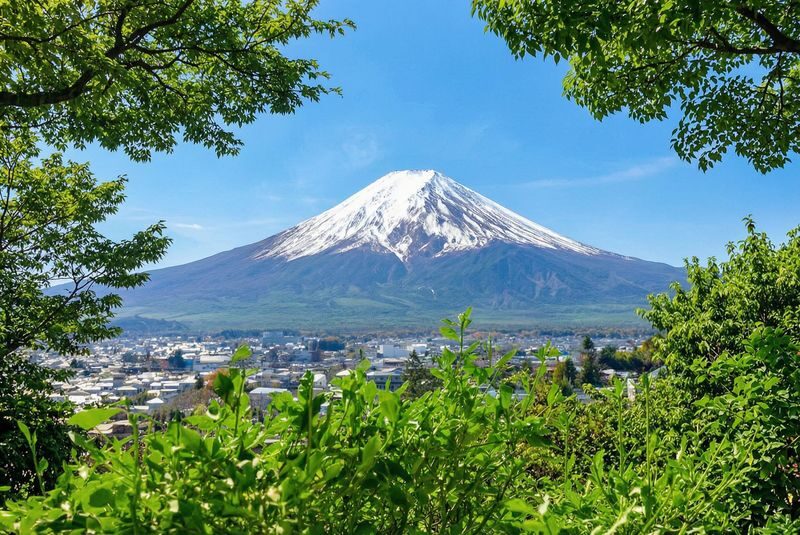 Mt. Fuji Panoramic Day Tour (Departing from Tokyo) - A note about Oishi Park and the listed stops