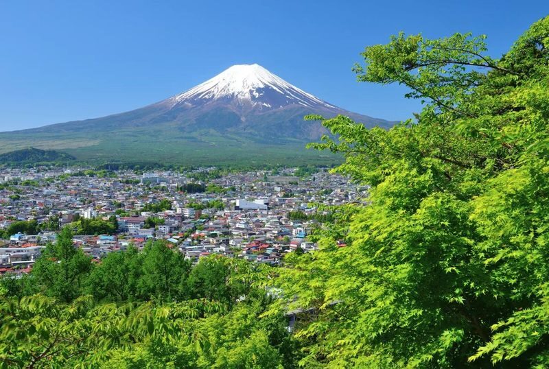 Mt. Fuji Panoramic Day Tour (Departing from Tokyo) - Who will get the most from this tour?