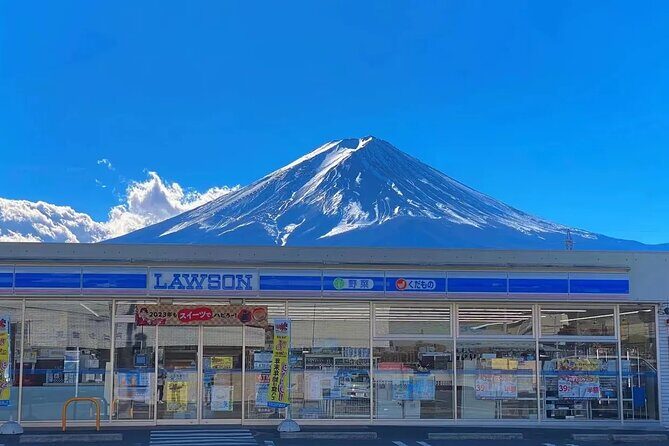 Mt. Fuji Panoramic Ropeway, Oshino Hakkai & Sightseeing Day Tour - Who Would Love This Tour?