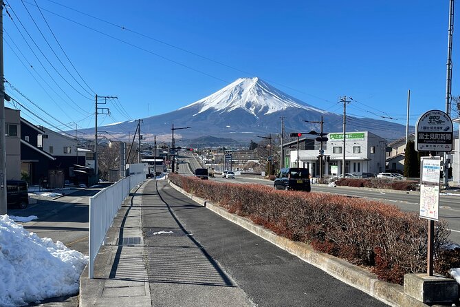Mt FUJI - Panoramic Tour With Hoto Lunch Sake Samplings and Onsen - Hoto Lunch Experience