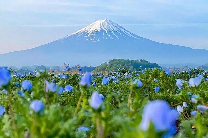 Mt Fuji Pilgrimage Full Day Tour with 7 Must See Scenic Spots - Good To Know  