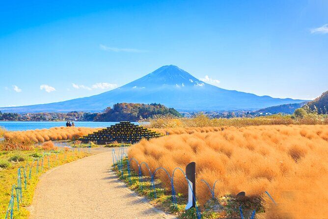 Mt Fuji Pilgrimage Full Day Tour with 7 Must See Scenic Spots - An In-Depth Look at the Itinerary and What to Expect  