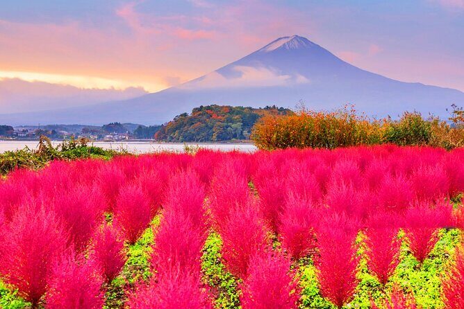 Mt Fuji Pilgrimage Full Day Tour with 7 Must See Scenic Spots - The Sum Up  