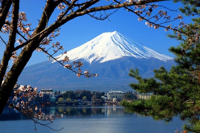 Mt.Fuji (Plus Gotemba)Tour , From/To Tokyo&Yokohama, up to 12 - Good To Know