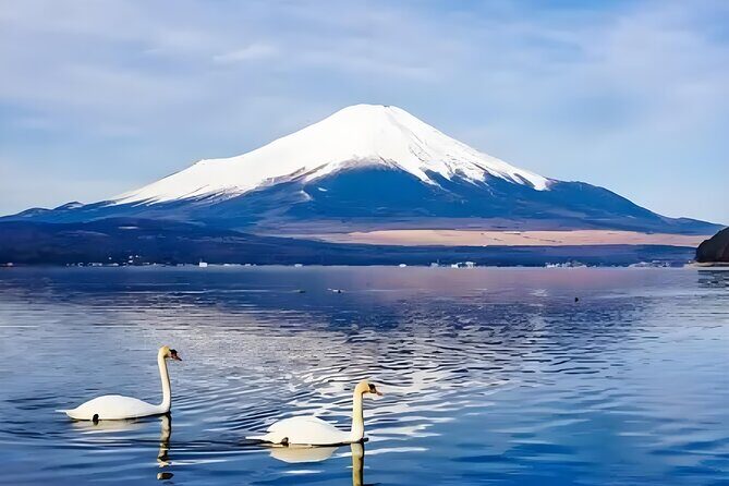 Mt. Fuji Private Customized Day Tour - Transportation and Group Size