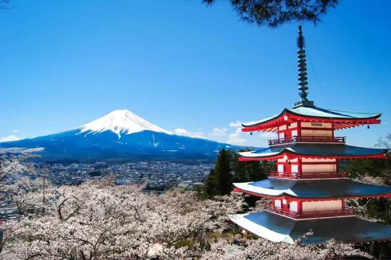 Mt. Fuji Private Day Tour: Luxury Car, Pagoda & Hidden Gems - An Overview of the Mt. Fuji Private Day Tour