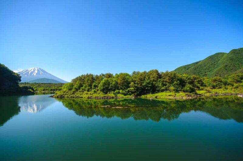 Mt. Fuji Private Day Tour: Luxury Car, Pagoda & Hidden Gems - Why This Tour Stands Out