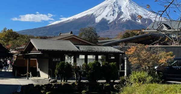 Mt Fuji Private Day Tour With English Speaking Driver - Customization Options