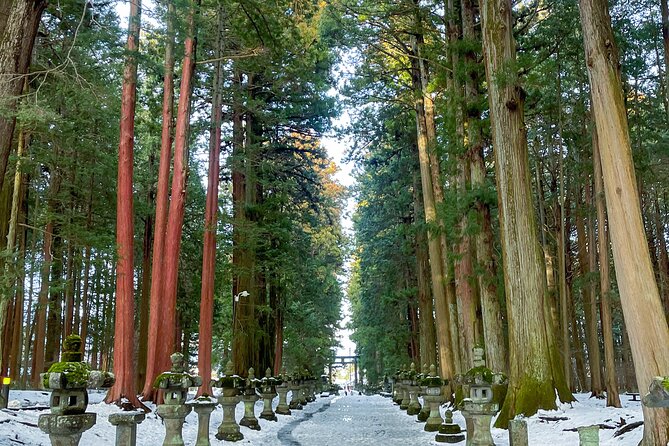 Mt Fuji Private Sightseeing Car Tour With Friendly Japanese - Tour Inclusions