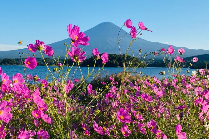 Mt. Fuji Private Sightseeing With Bilingual Chauffeur - Pricing and Guarantee