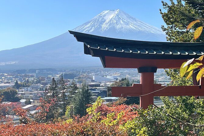Mt. Fuji Private Sightseeing With Bilingual Chauffeur - Questions and Information