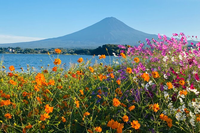 Mt. Fuji Private Sightseeing With Bilingual Chauffeur - Common Questions
