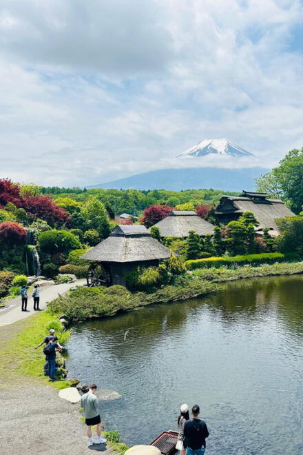 Mt.Fuji Private Tour By Car With English Speaking Guide - Important Information
