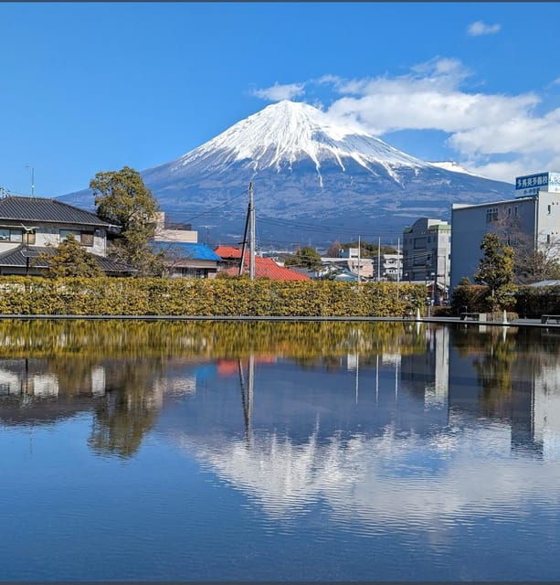 Mt.Fuji Private Tour by Car With Pick and Drp From Tokyo - Good To Know