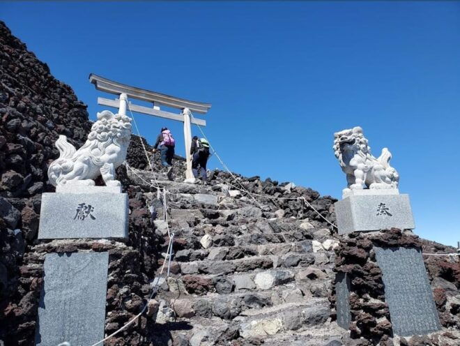 Mt.Fuji Private Tour by Car With Pick and Drp From Tokyo - Included Amenities
