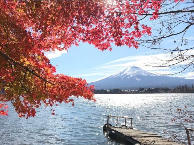 Mt.Fuji Private Tour by Car With Pick and Drp From Tokyo - Booking and Cancellation Policy