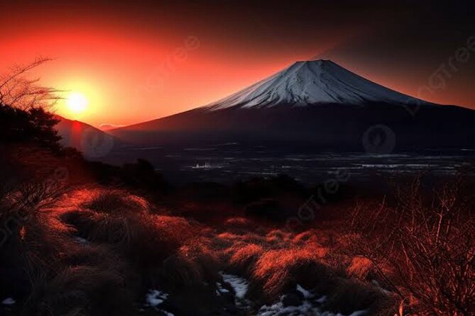 Mt Fuji Private Tour by Land Cruiser Prado With Pick and Drop - Pickup and Drop-off Details