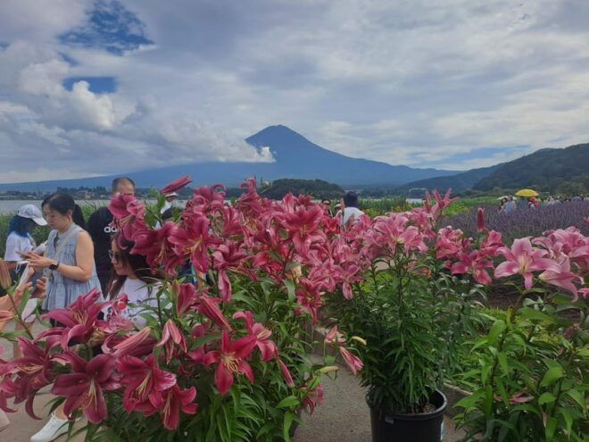 Mt. Fuji: Private Tour With English Guide - Experience and Personalization