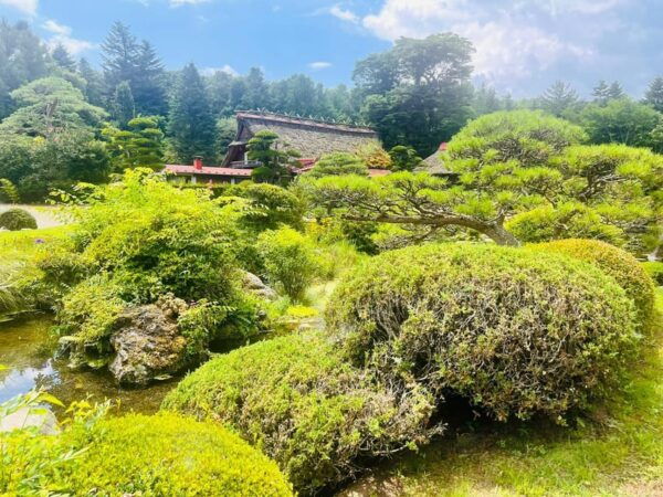 Mt. Fuji: Private Tour With English Guide - Customer Testimonials