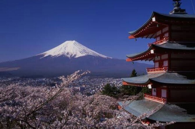 Mt Fuji Private Tour With English Speaking Driver - Reviews