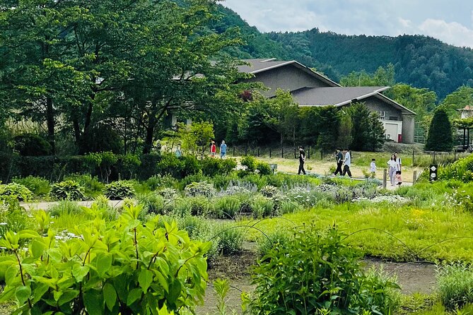 Mt Fuji Private Tour With English Speaking Driver - Questions and Terms
