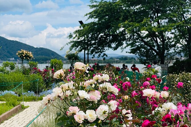 Mt Fuji Private Tour With English Speaking Driver - Contact Information and Copyright Details