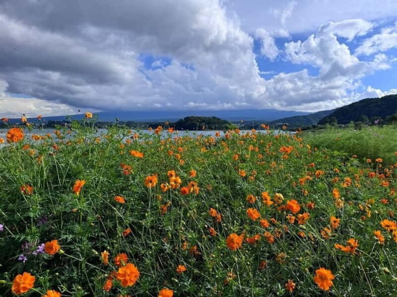 Mt. Fuji Private Tour With Hotel Pick Up From Tokyo - The Overall Value