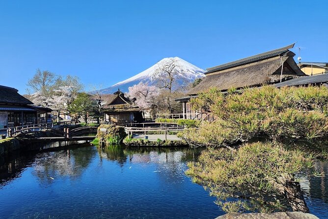 Mt Fuji Private Trip With English Speaking Driver - Trip Overview