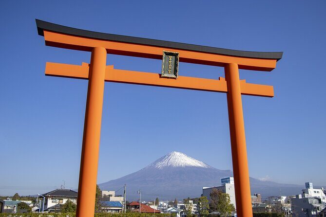 Mt. Fuji Sake and Tea Fields Tour by Private Car - The Practicalities