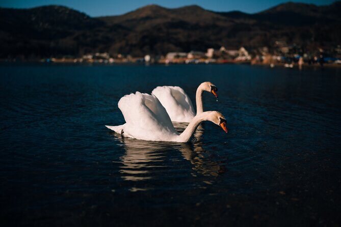 Mt. Fuji Scenic Lakes and Oshino Hakkai Private Tour - Exploring the Mt. Fuji Scenic Lakes and Oshino Hakkai Tour: An In-Depth Review