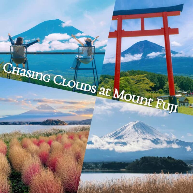 Mt. Fuji Scenic Tour: Lake Kawaguchi & Farm Experience - Good To Know