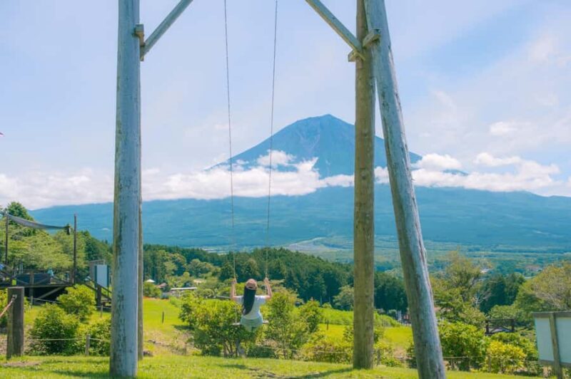 Mt. Fuji Scenic Tour: Lake Kawaguchi & Farm Experience - Practical Details and Logistics