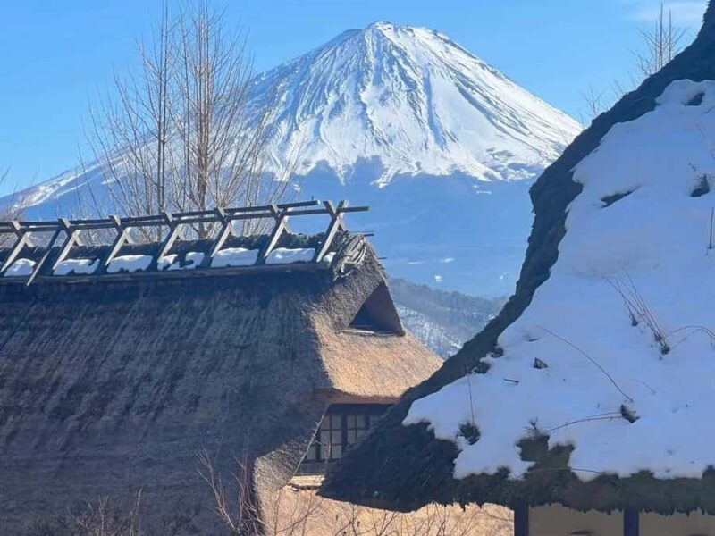 Mt. Fuji Scenic Tour: Lake Kawaguchi & Farm Experience - The Sum Up