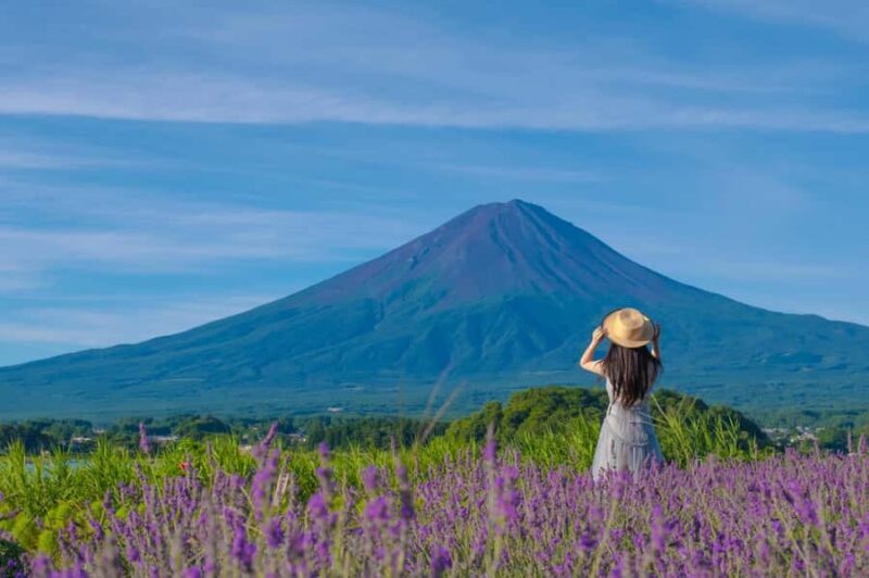 Mt. Fuji Scenic Tour: Lake Kawaguchi & Farm Experience - Who Will Love This Tour?