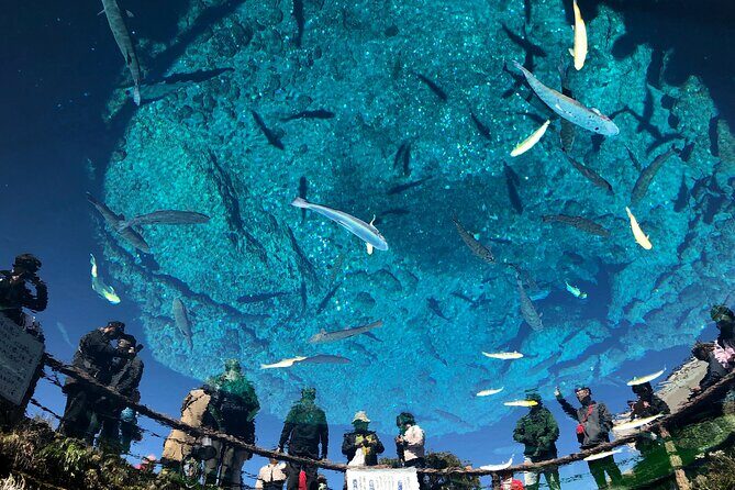 Mt. Fuji Scenic Tour: Lakes, Oshino Hakkai & Chureito PagodaTour - Final Thoughts