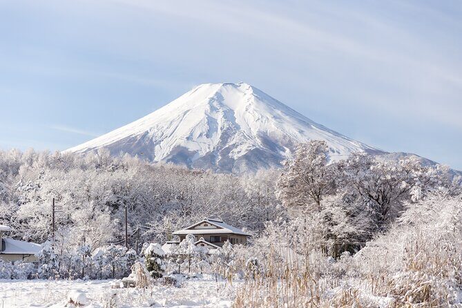 Mt. Fuji Scenic Tour: Lakes, Oshino Hakkai & Chureito PagodaTour - FAQs