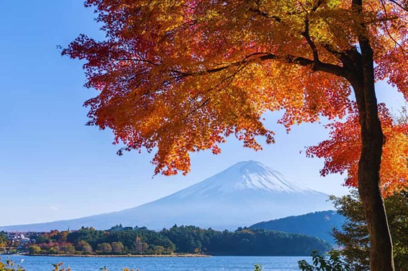 Mt. Fuji Scenic Train & Lake Kawaguchi Day Tour from Tokyo - Final Thoughts: Who Will Love This Tour?