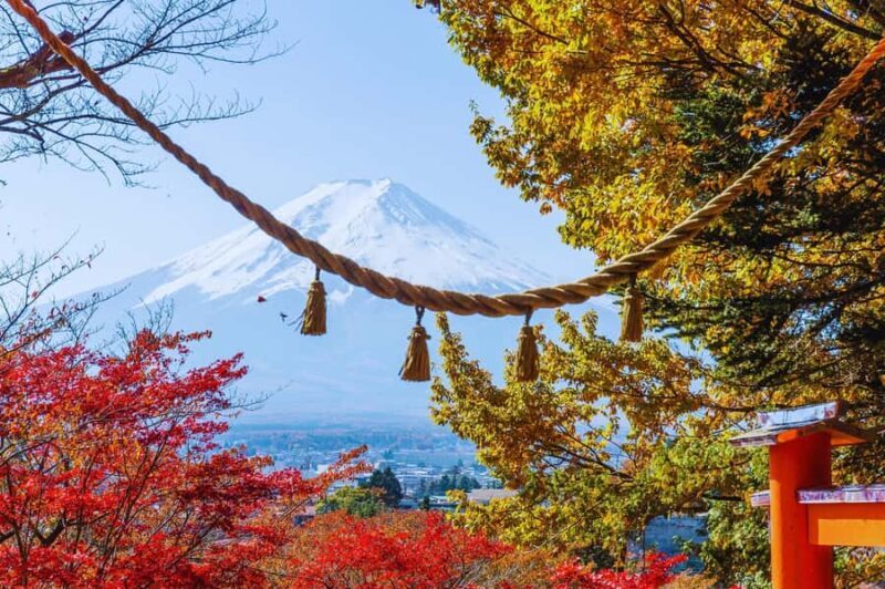 Mt. Fuji Scenic Train & Lake Kawaguchi Day Tour from Tokyo - An In-Depth Look at the Mt. Fuji Scenic Train & Lake Kawaguchi Day Tour