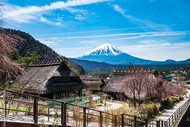 MT Fuji Sightseeing Customized Private Day Tour Up-to 9 Persons - Pickup and Drop-off Locations